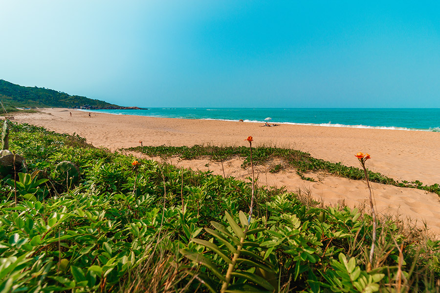 praia-de-taquarinhas-em-balneario-camboriu