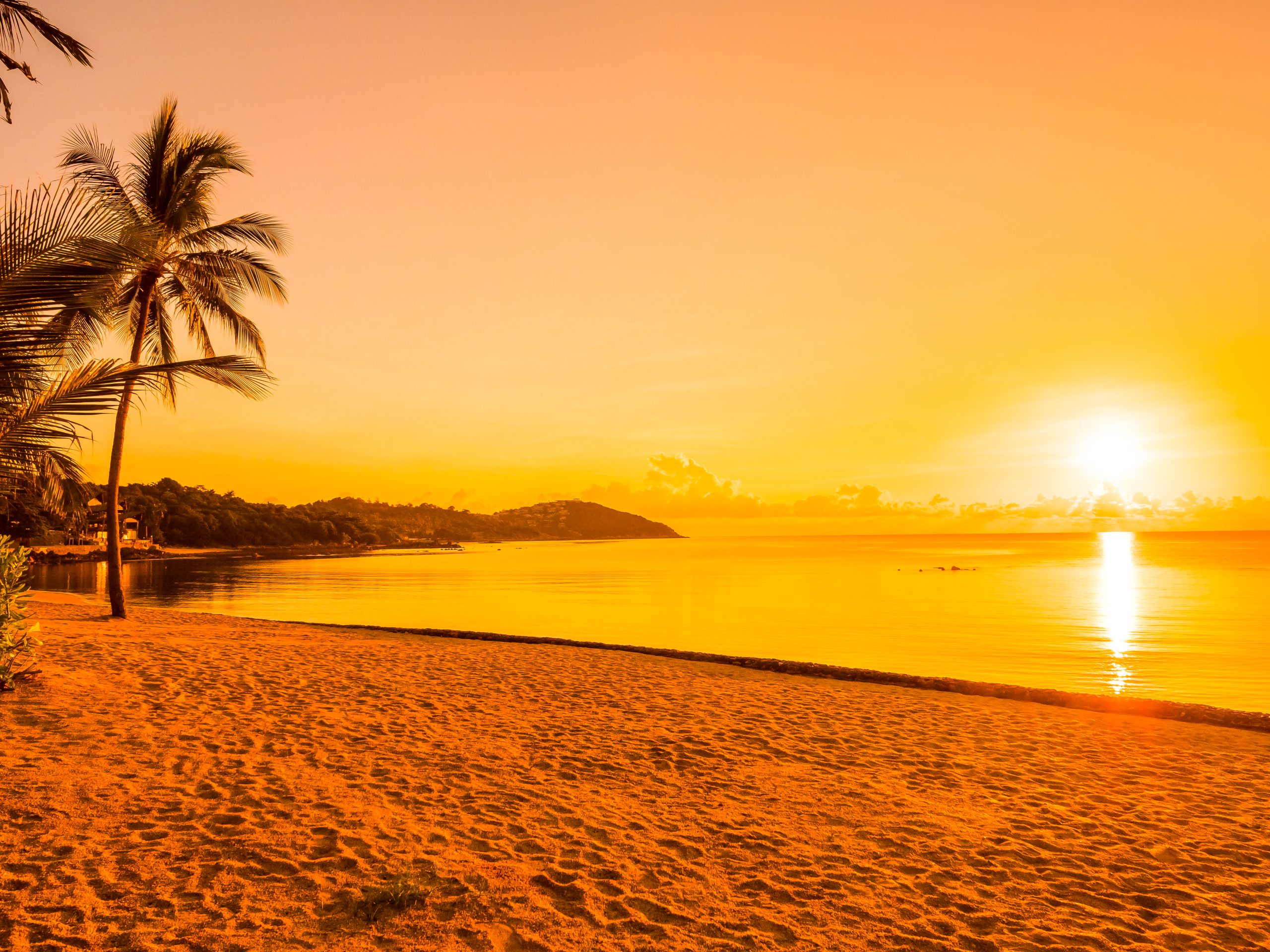 O seu lugar ao sol